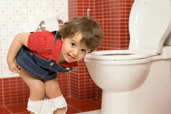 Nhất định phải có một chiếc bệ ngồi bồn cầu cho bé để bé tự tin hơn khi đi vệ sinh