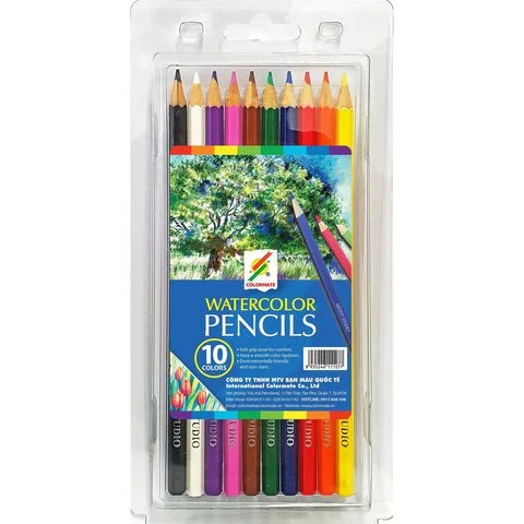 Hộp nhựa 10 cây bút chì màu nước  Artist Colormate