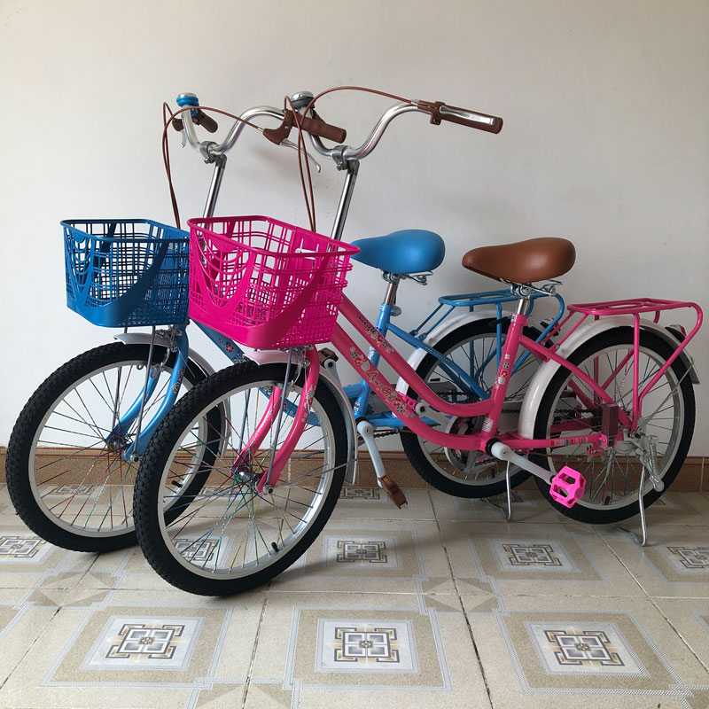 xe đạp cho bé gái từ 7 tuổi alatka 20 inch