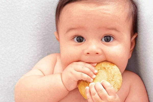 Lựa chọn bánh ăn dặm cho bé 6 tháng tuổi đừng bỏ qua 3 loại bánh này
