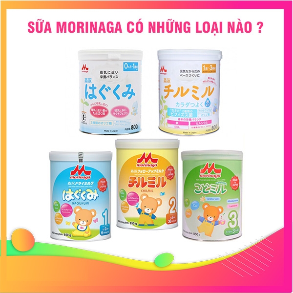 Sữa Morinaga có mấy loại và mua sữa Morinaga ở đâu ?