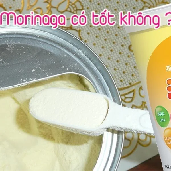 Sữa Moringa có tốt không và có gây nóng trong cho bé hay không ?