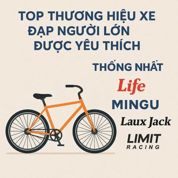 Top thương hiệu xe đạp người lớn được ưa chuộng nhất hiện nay
