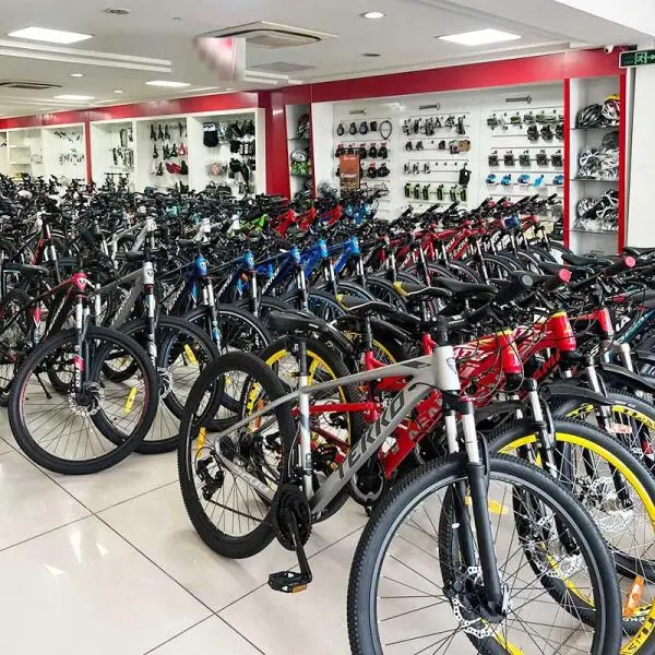 Xe đạp cho người lớn có mấy loại? Khám phá để chọn đúng!