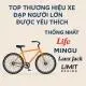 Top thương hiệu xe đạp người lớn được ưa chuộng nhất hiện nay