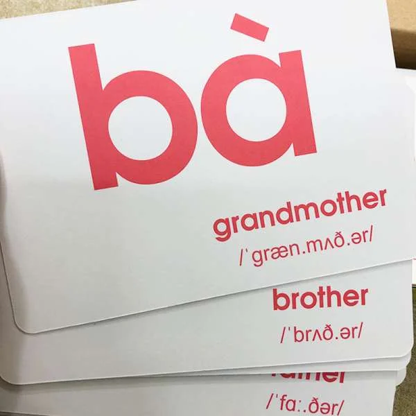 bo-the-hoc-thong-minh-glenn-doman-flash-card-14-chu-de-4