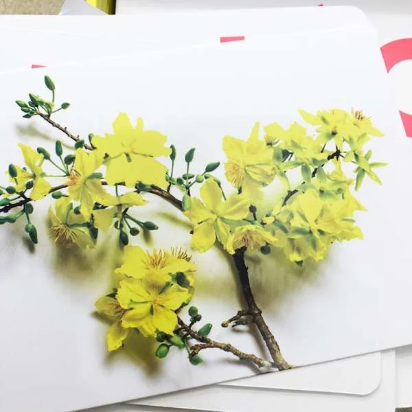 bo-the-hoc-thong-minh-glenn-doman-flash-card-14-chu-de-8