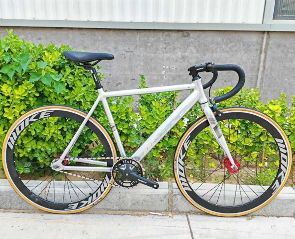 xe-dap-fixed-gear-moke-cao-cap-1