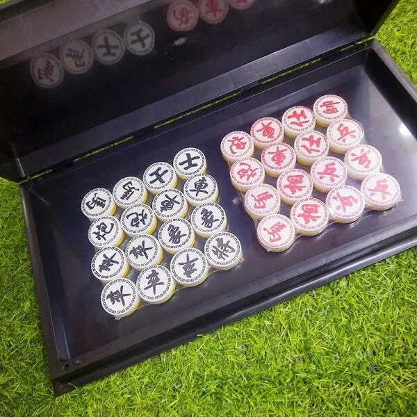 bo-co-tuong-bang-nhua-vijago-5