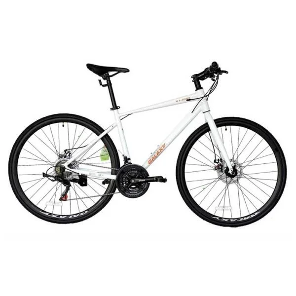 xe-dap-the-thao-galaxy-rl200-5