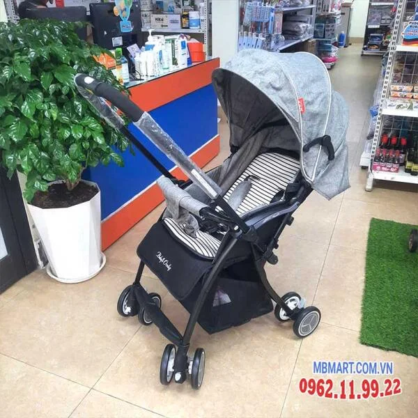 xe-day-2-chieu-tre-em-baby-only-5