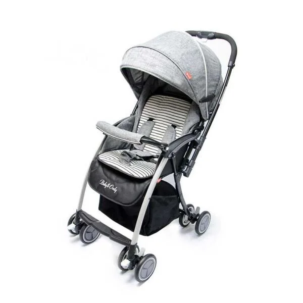 xe-day-2-chieu-tre-em-baby-only-9