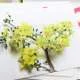 bo-the-hoc-thong-minh-glenn-doman-flash-card-14-chu-de-8