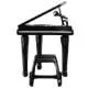 dan-piano-winfun-2405-co-mic-thu-am-1