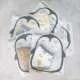 khau-trang-em-be-vai-xo-6-lop-5
