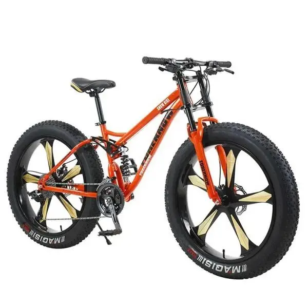 Bảng giá xe đạp người lớn-2