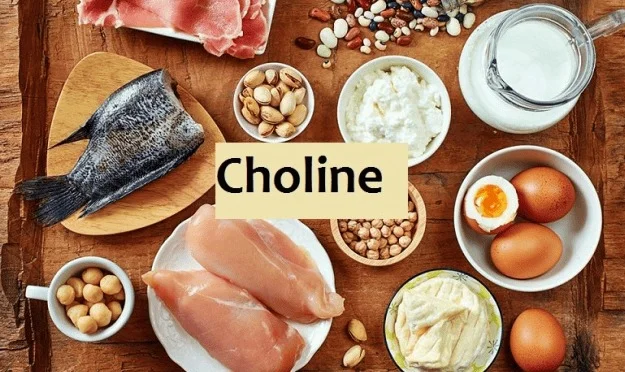 Thực phẩm chứa dưỡng chất Choline