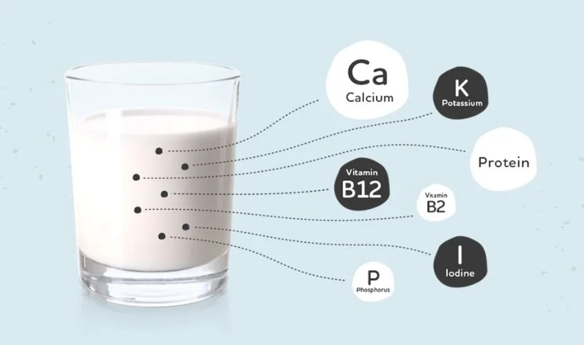 Dinh dưỡng trong một ly sữa