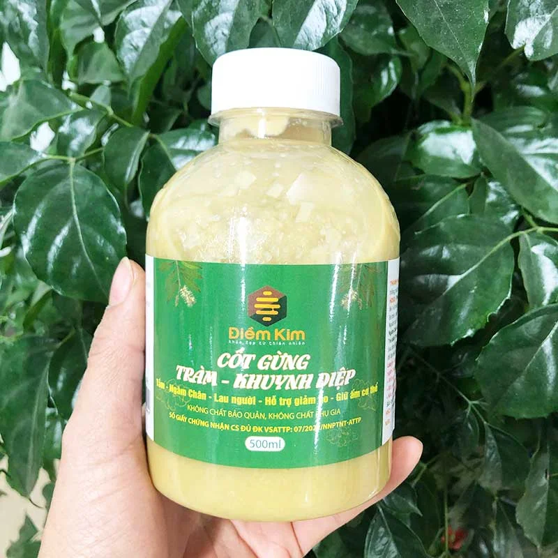 Nước cốt gừng tràm trà Điềm Kim 500ml-11