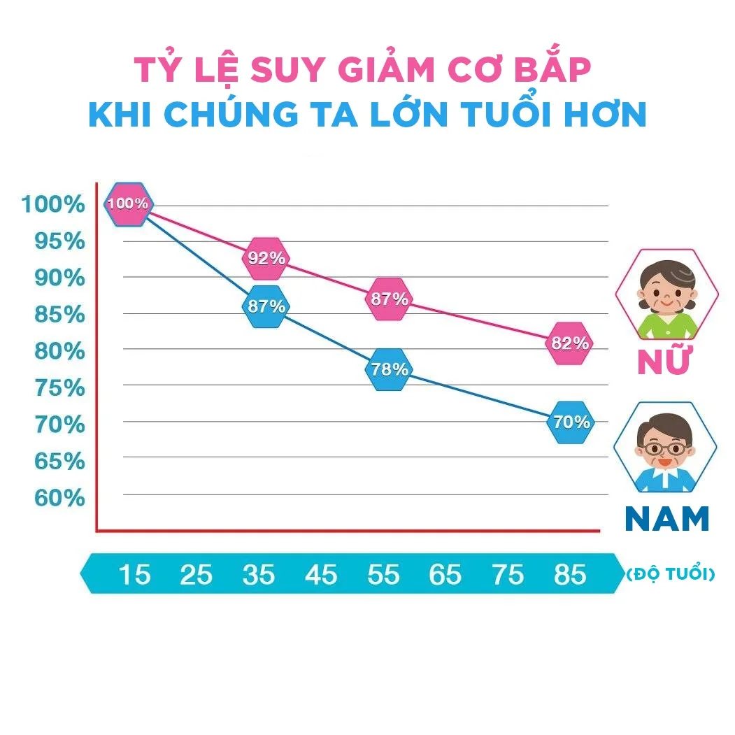 Tỷ lệ suy giảm cơ bắp theo độ tuổi của chúng ta