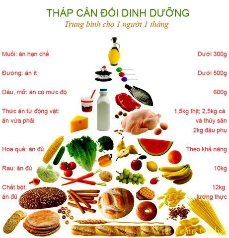 Tháp cân đối dinh dương cho người già, người cao tuổi