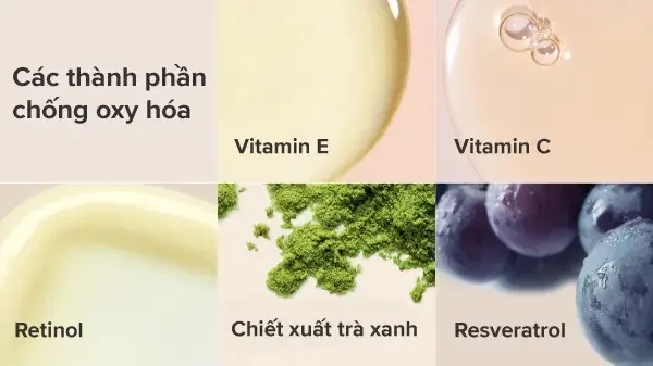 Các thành phần chống Oxy hóa trong sữa