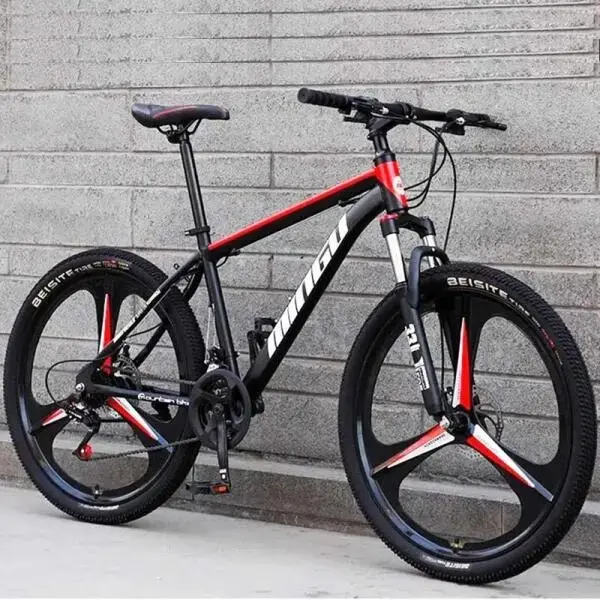 Xe đạp cho người lớn-2