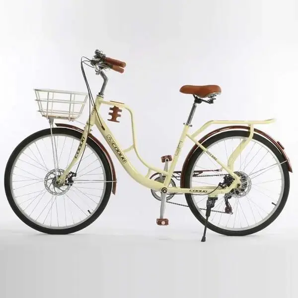 Xe đạp cho người lớn-5