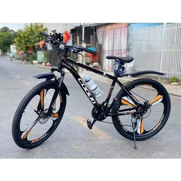Xe đạp người lớn3