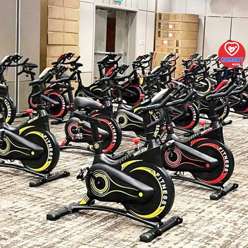 Xe đạp tập thể dục1