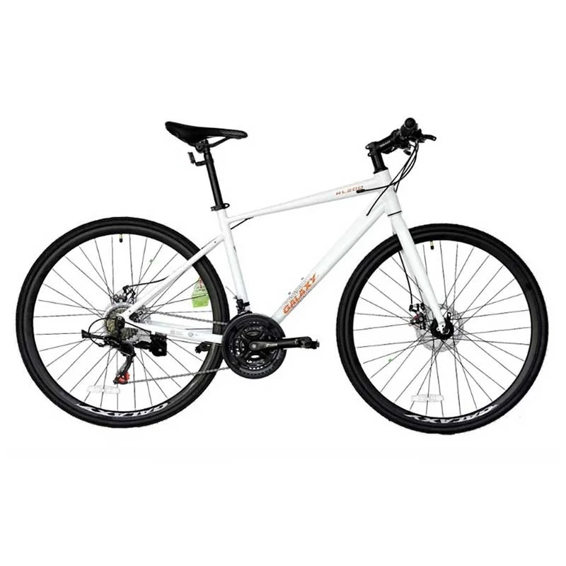 Xe đạp thể thao Galaxy RL200-2