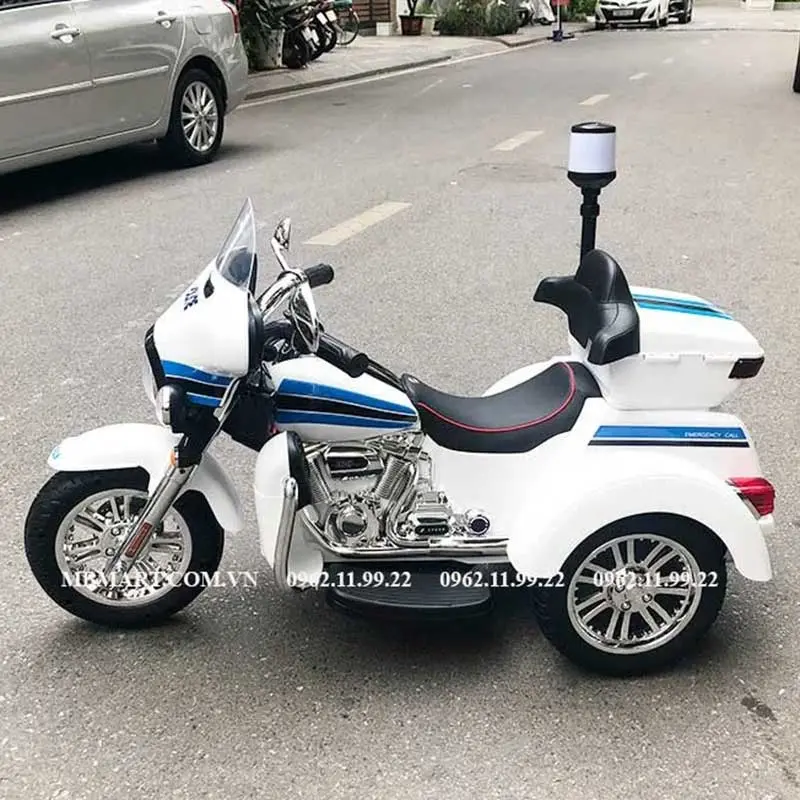  Xe ô tô điện, xe máy điện-3